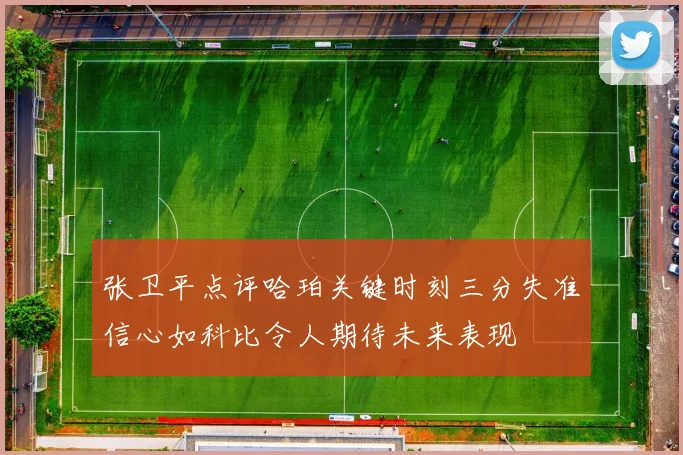 张卫平点评哈珀关键时刻三分失准信心如科比令人期待未来表现