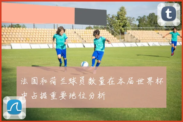 法国和荷兰球员数量在本届世界杯中占据重要地位分析