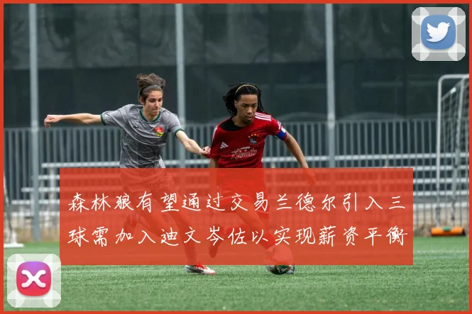 森林狼有望通过交易兰德尔引入三球需加入迪文岑佐以实现薪资平衡