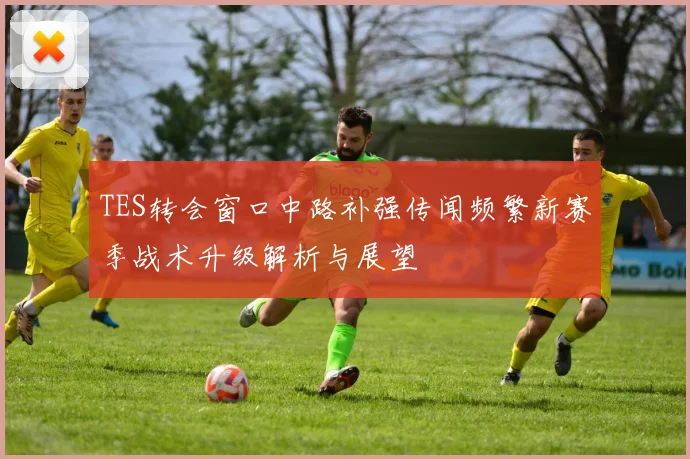 TES转会窗口中路补强传闻频繁新赛季战术升级解析与展望